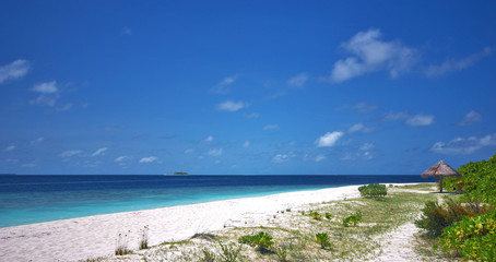 Fototapeta premium Beautiful scenery at the beach