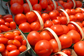 Tomato baskets