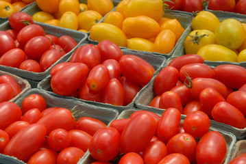 Red and yellow tomatos