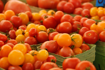 Red and yellow tomatos