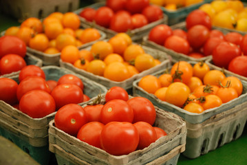 Red and yellow tomatos