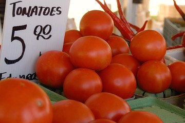Tomatos for sale