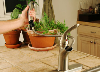 Kitchen faucet with hose