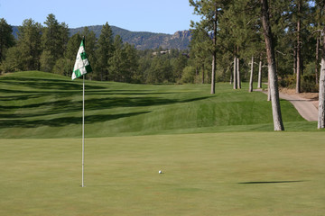 Fototapeta premium Nice golf shot with ball close to pin