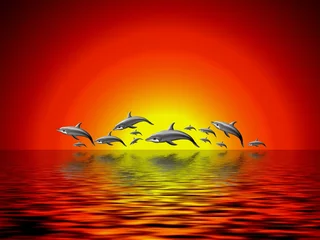 Papier Peint photo Lavable Dauphins dauphins au coucher du soleil