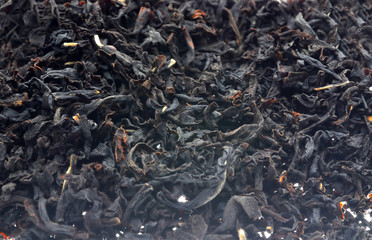 black tea