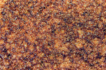 crust of brown bread