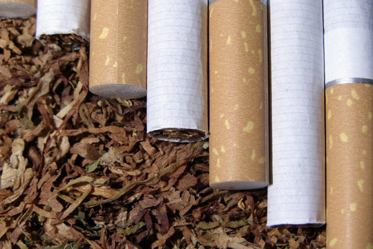 tobacco and cigarete