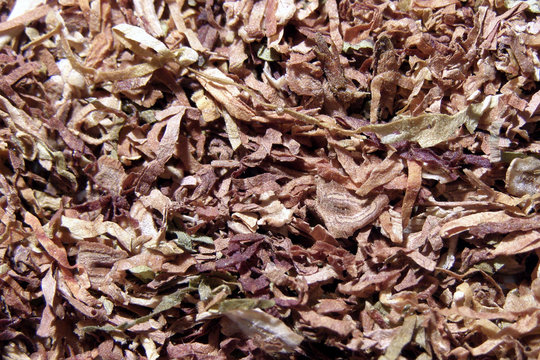 tobacco