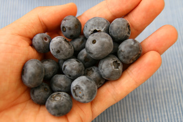 fresh blueberry on hand