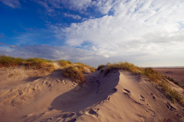 sand dunes and ocean