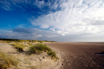 sand dunes and ocean