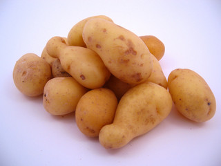 Pomme de terre
