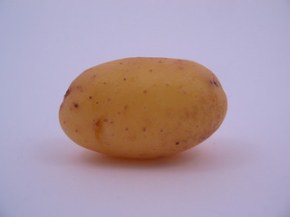 Pomme de terre