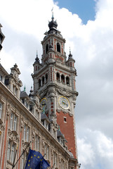Fototapeta na wymiar Historyczne budynki w mieście Lille (Francja)