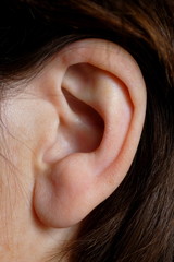 oreille