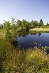 kleiner Teich in Moorlandschaft
