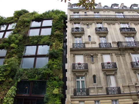 Façade de pierre et façade végétale, Paris