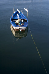 small blue fishing boat alone in the ocean