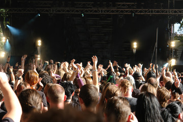 Cheering crowd at concert