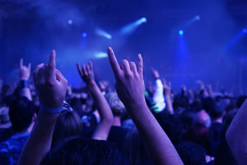 Cheering crowd at concert