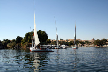 Boats sailing in Aswan river nile