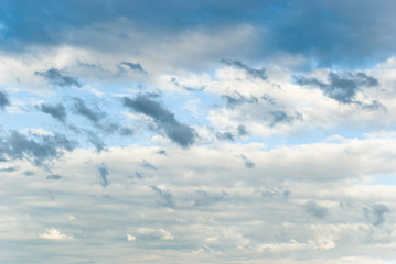 abendd&auml;mmerung im Maisfeld