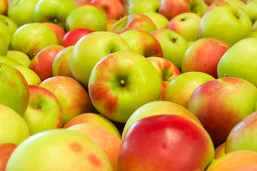 Pile of apples