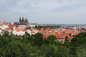 Fototapeta premium St Vitus, Prague Castle and Hradcany District