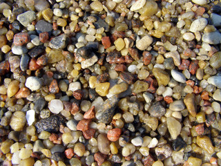 Beach Rock