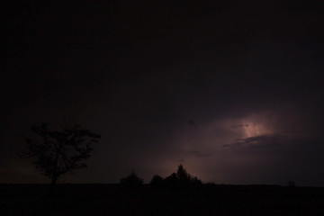 Fototapeta premium Storm with a tree