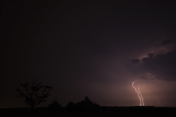Storm with a tree