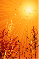 summer landscape with many plants, vector illustration