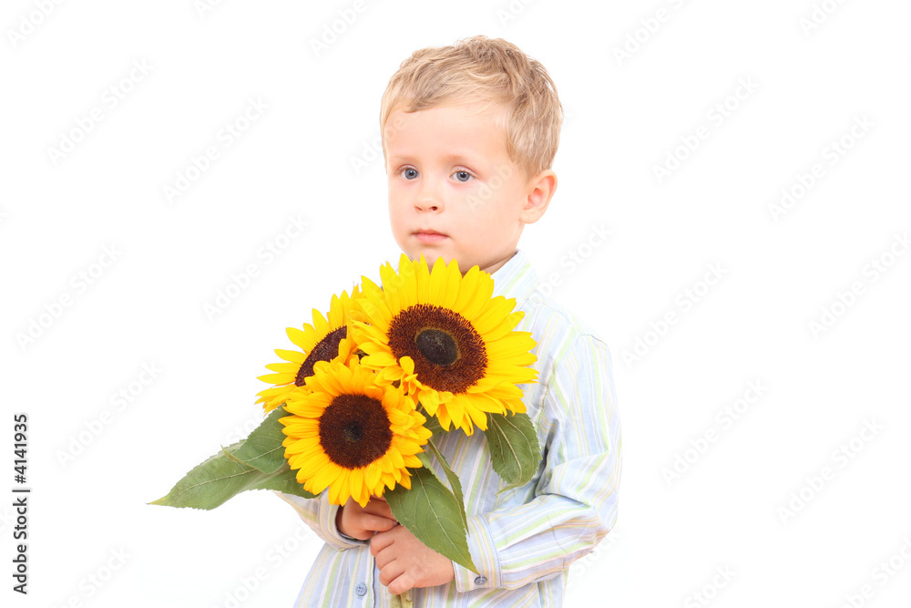 Wall mural sunflowers for you