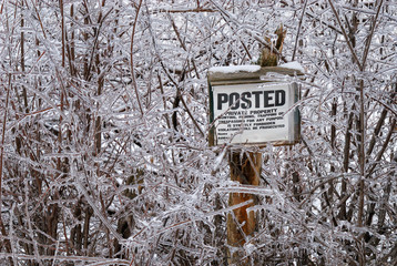 Ice covered posted sign