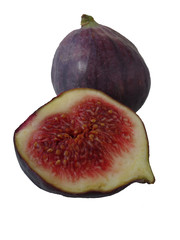 FIGUES