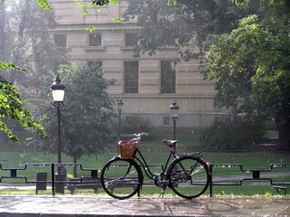 Sommerregen