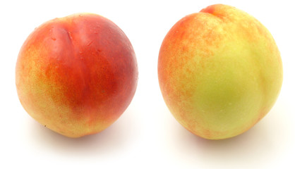 nectarine
