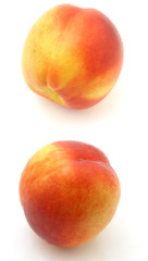nectarine