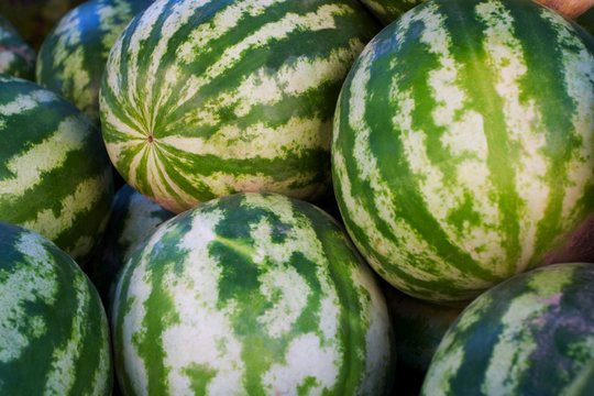 Watermelons in market place