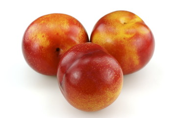 Fototapeta na wymiar red plums on white
