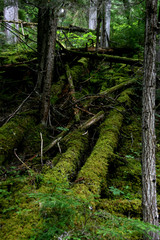 Mount Robson Provincial Park