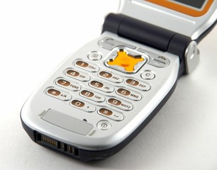 Cellular telephone