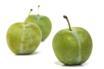 Three Ripe Greengages