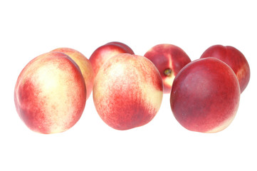 Nectarine