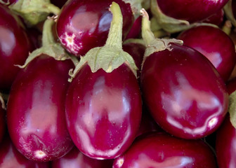 Shiny fresh purple eggplants