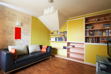 Sofa and a bookcase