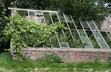 The Old Greenhouse