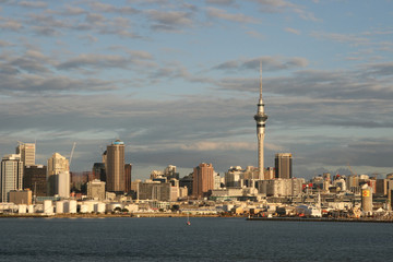 Auckland CityScape