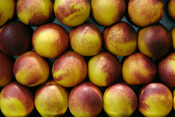 Nectarinas